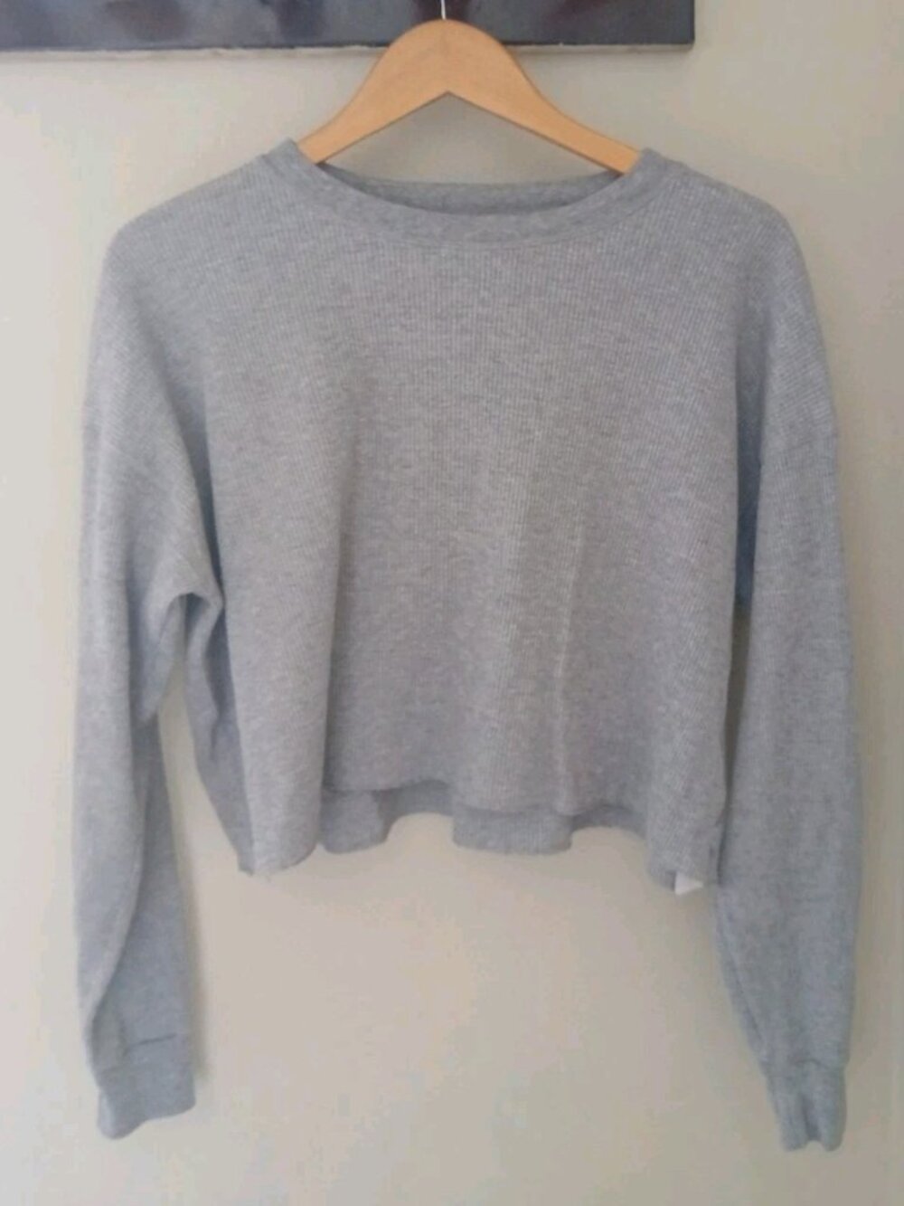 Tna by Aritzia Waffle-Knit L/S Cropped Shirt